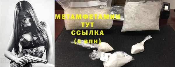 стаф Осинники