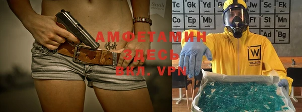 стаф Осинники