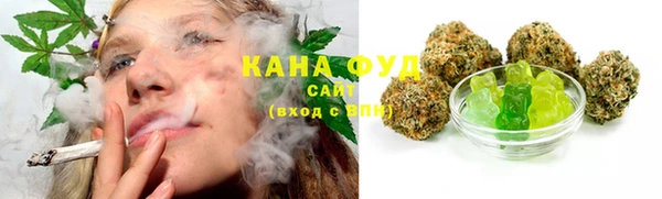 стаф Осинники