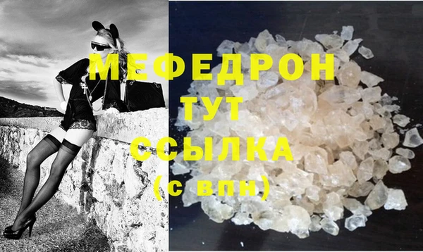стаф Осинники