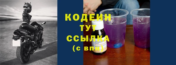 стаф Осинники