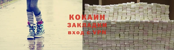 стаф Осинники