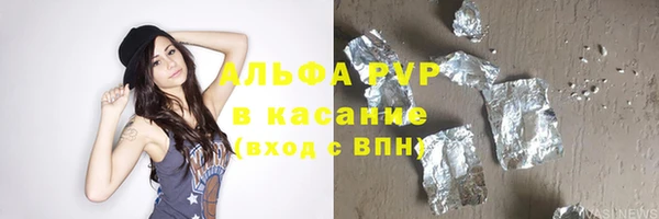 стаф Осинники
