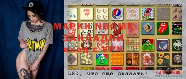 стаф Осинники