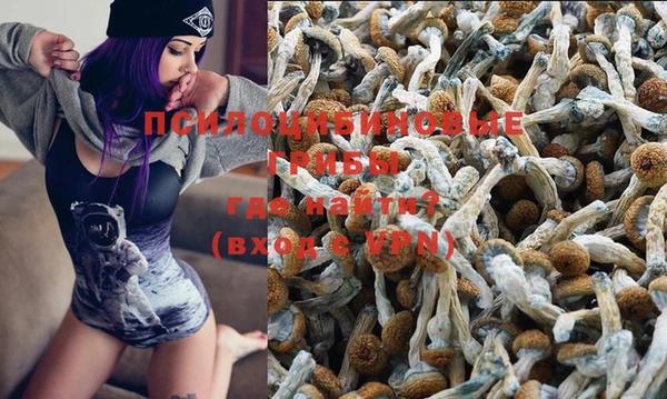 стаф Осинники