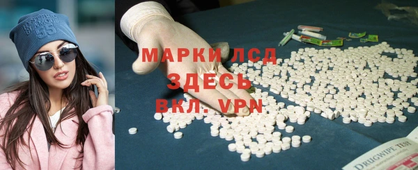 стаф Осинники