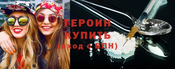 гидра Няндома