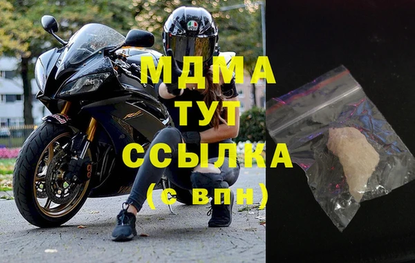 прущие грибы Галич