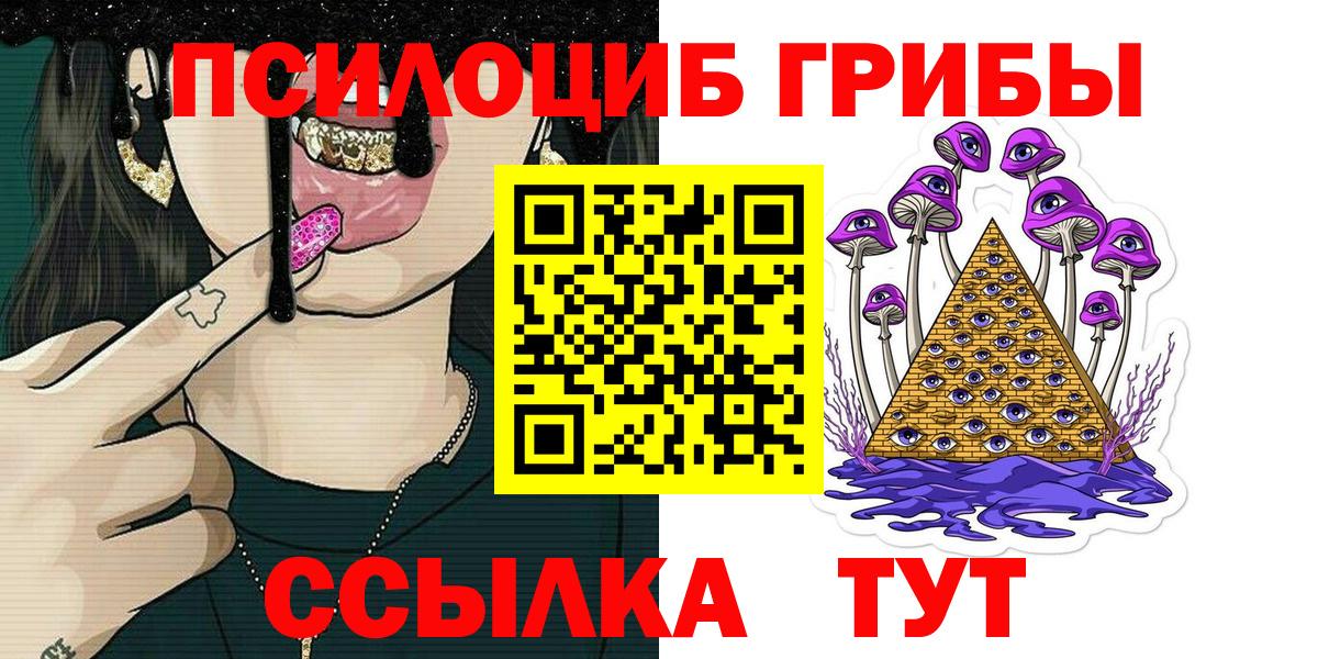 Галлюциногенные грибы Psilocybe Балтийск