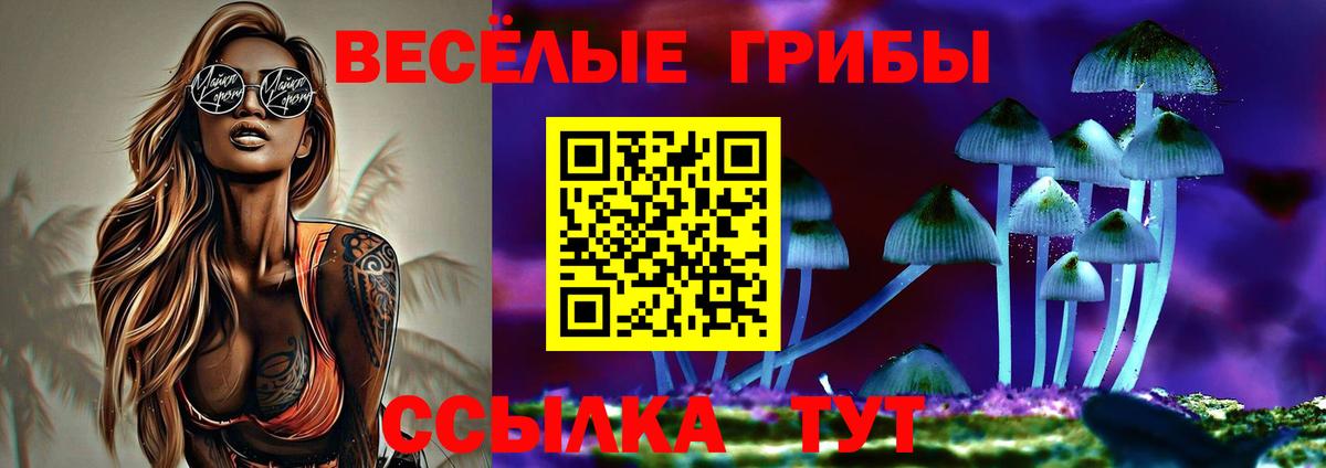 Галлюциногенные грибы ЛСД  Вход с VPN  купить наркотик  Балтийск 